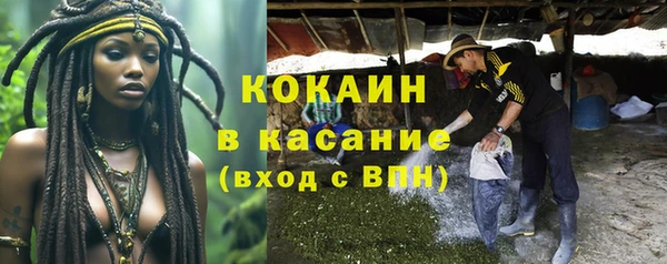 мяу мяу мука Куйбышев