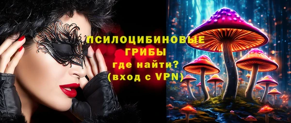 мяу мяу мука Куйбышев