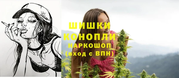твердый Краснослободск